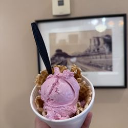 Black Cow Cafe - Prickly pear ice cream