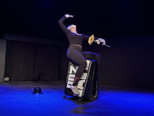 The Elysian Theater by null