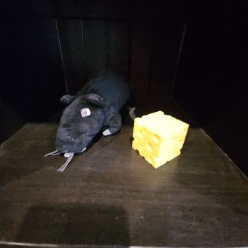 Dedrick's Cheese - Toy Mouse & Cheese - Cheese Shops Near Me - Nevada City, California