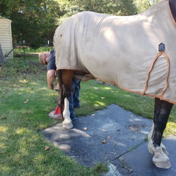 Rooted Farm & Forge - Farriers Near Me Rooted Farm & Forge - Farriers Near Me