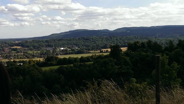 Denbies Wine Estate by null