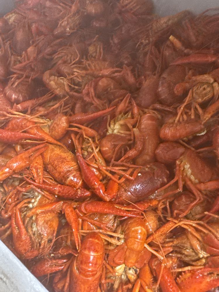 Stelly's Boiling Spot