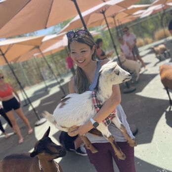Sugar Sweet Farm - Attraction Farms Near Me