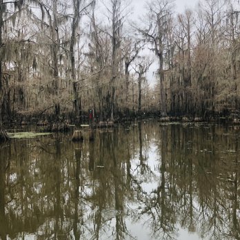 Captain Ron's Swamp Tours - Boat Tours Near Me Captain Ron's Swamp Tours - Boat Tours Near Me
