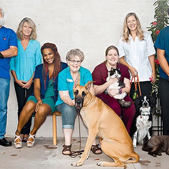 Tanglewilde Veterinary Clinic - Our Wonderful Staff! - Veterinarians Near Me - Houston, Texas Tanglewilde Veterinary Clinic - Our Wonderful Staff! - Veterinarians Near Me - Houston, Texas