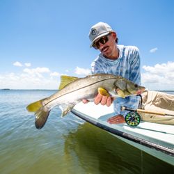 Down Sea Charters
