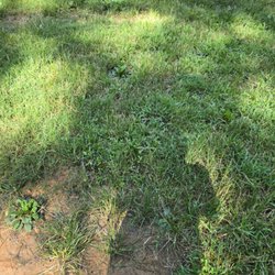 Grass not cut