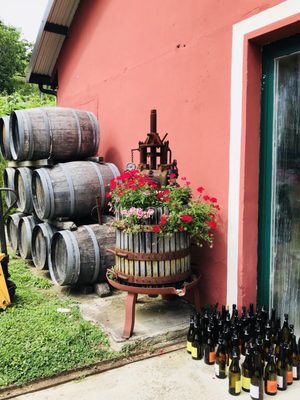 Podere Còncori by null