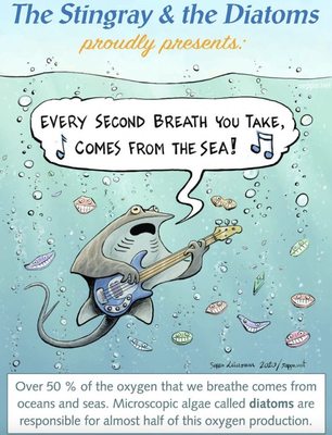 Clean Streams Rivers and Lakes