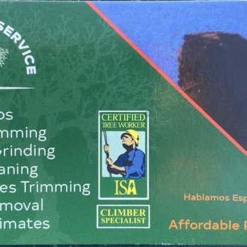 Matt's Tree Services - Business cards and list of some of the stuff we work on. - Junk Removal & Hauling Near Me Matt's Tree Services - Business cards and list of some of the stuff we work on. - Junk Removal & Hauling Near Me