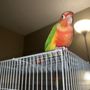 Photo of Best Beaks