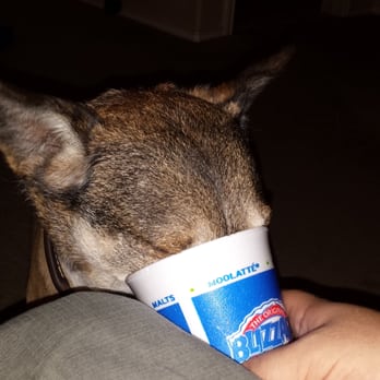 Dairy Queen - Survey says...pumpkin pie wins the blizzard battle! - Fast Food Near Me - Live Oak, Texas Dairy Queen - Survey says...pumpkin pie wins the blizzard battle! - Fast Food Near Me - Live Oak, Texas