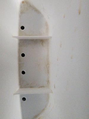 Shell Island Resort by null