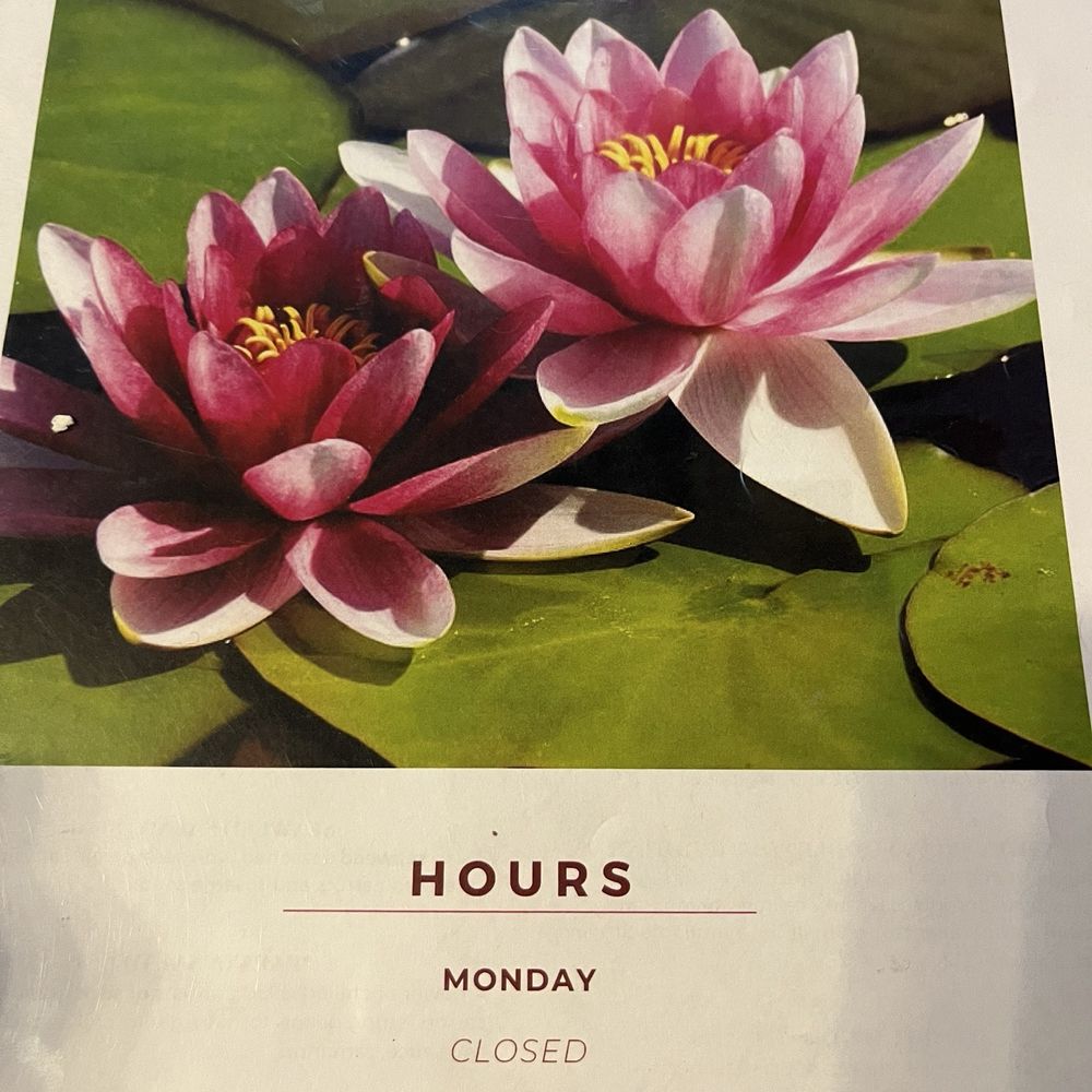 Lotus Thai House - Lotus Thai House Parma - Thai Near Me - Parma, Ohio Lotus Thai House - Lotus Thai House Parma - Thai Near Me - Parma, Ohio