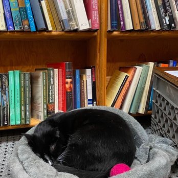 Twice Sold Tales - Used Bookstore Near Me - Seattle, Washington Twice Sold Tales - Used Bookstore Near Me - Seattle, Washington