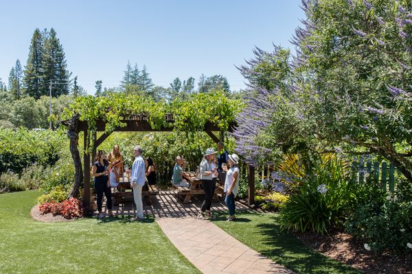 Dutton Estate Winery by null
