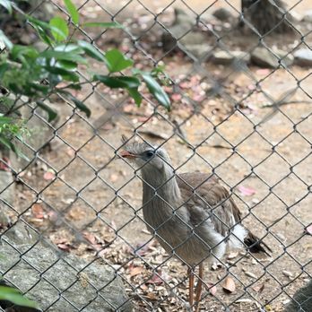 Central Coast Zoo - Zoos Near Me - Atascadero, California Central Coast Zoo - Zoos Near Me - Atascadero, California