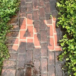 A1 Pressure Washing & Gutter Cleaning