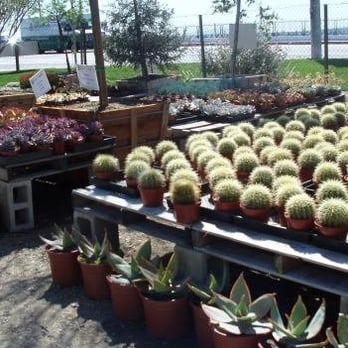 Garden View Nursery - Nurseries & Gardening Near Me - Irwindale, California Garden View Nursery - Nurseries & Gardening Near Me - Irwindale, California