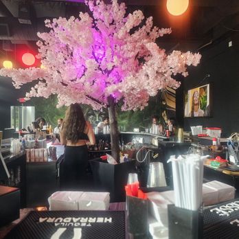 Medusa Lounge - Tapas/Small Plates Near Me - Charlotte, North Carolina Medusa Lounge - Tapas/Small Plates Near Me - Charlotte, North Carolina
