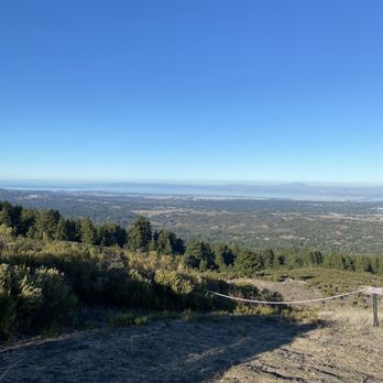 Windy Hill Open Space Preserve - Worth the one rattlesnake sighting - Parks Near Me Windy Hill Open Space Preserve - Worth the one rattlesnake sighting - Parks Near Me