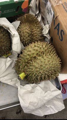 Tan Sang Tropical Fruit by null