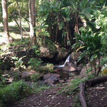 Makiki-Manoa Cliffs Hike - Hiking Near Me - Honolulu, Hawaii