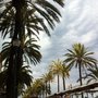 Photo of La Rambla