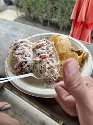 Tropical Taco by null