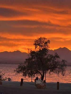 Lake Havasu State Park by null