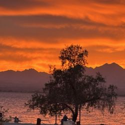Lake Havasu State Park