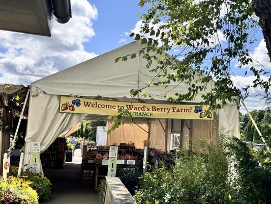 Wards Berry Farm by null