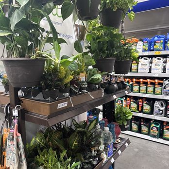 Lowe's Home Improvement - Plants - Hardware Stores Near Me - Lehi, Utah Lowe's Home Improvement - Plants - Hardware Stores Near Me - Lehi, Utah