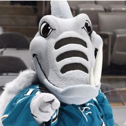 San Jose Barracuda