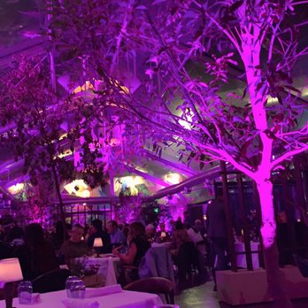 Spago - Dinning area - New American Near Me - Beverly Hills, California