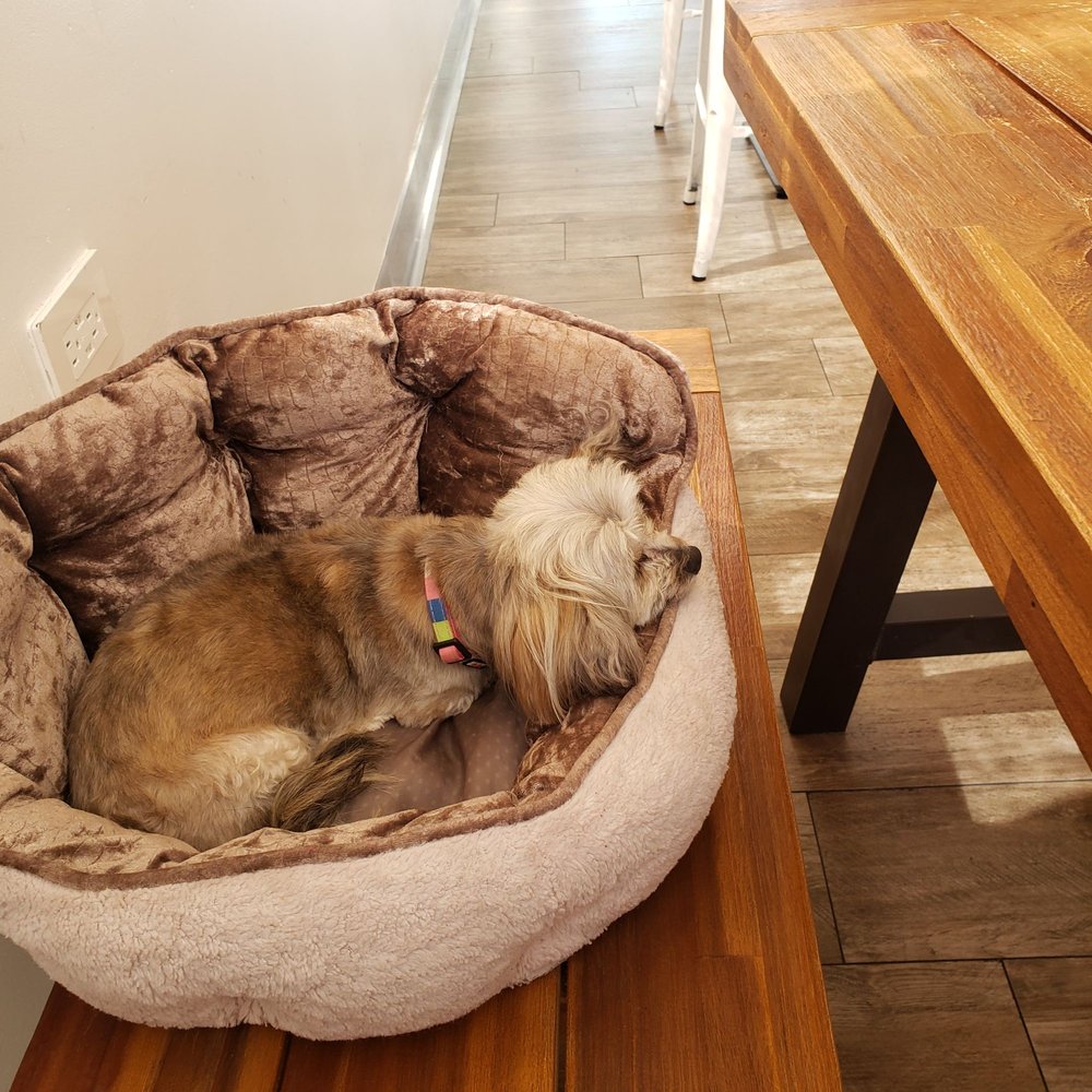 LOS ALTOS RESTAURANT Updated October 2024 60 Photos & 38 Reviews