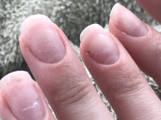 All About Nails by null