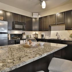Palmera - Palmera kitchen.