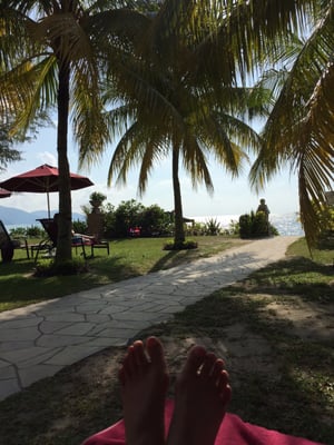 PARKROYAL Penang Resort by null