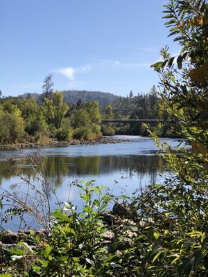 Sutter's Mill by null