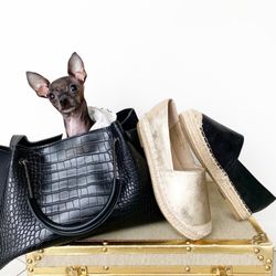 Shoes To You - It's always Espy time in Miami!
