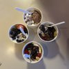 Yogurt Shack gift card