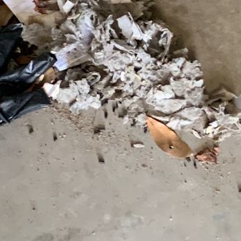 Public Storage - Rat damage - Self Storage Near Me - Orlando, Florida