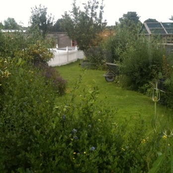 Childvision - Specialty Schools Near Me - Dublin, D