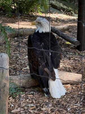 Palm Beach Zoo & Conservation Society by null