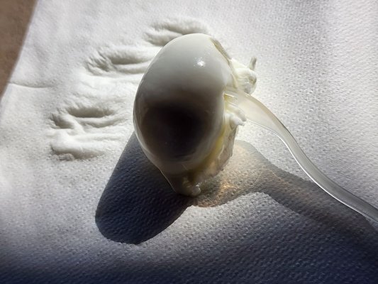 Tenuta Vannulo by null