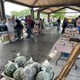 Watertown Saturday Farmers Market