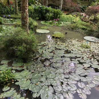Parque Terra Nostra - Parks Near Me - Furnas, 20