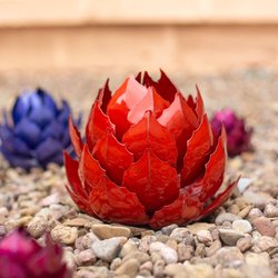 Desert Steel - Nature is loaded up with prized symbols that hold an uncommon spot in the heart.