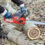 Photo of High Class Tree Service